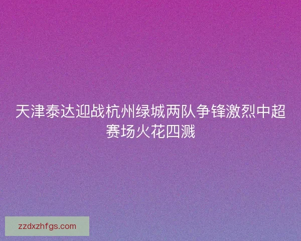 天津泰达迎战杭州绿城两队争锋激烈中超赛场火花四溅